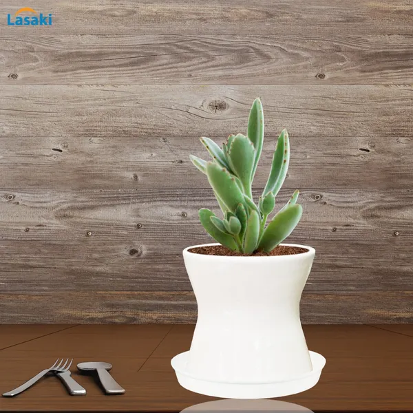 Damru_White_With_Plate_White_R4_Ceramic_Pots_For_Indoor_Plants,Planters,Flower,Gamla,Outdoor,Balcony,Home,Garden,Decor(Pot-H-11Cmxd-11Cm,Plate-H-2Xd-13Cm)