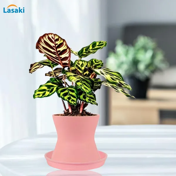 Damru_Pink_With_Plate_Pink_R4_Ceramic_Pots_For_Indoor_Plants,Planters,Flower,Gamla,Outdoor,Balcony,Home,Garden,Decor(Pot-H-11Cmxd-11Cm,Plate-H-2Xd-13Cm)