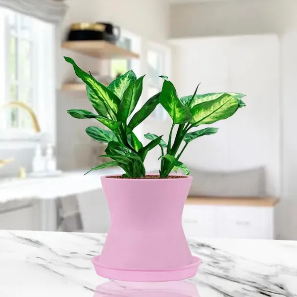 Damru_Purple_With_Plate_Purple_R4_Ceramic_Pots_For_Indoor_Plants,Planters,Flower,Gamla,Outdoor,Balcony,Home,Garden,Decor(Pot-H-11Cmxd-11Cm,Plate-H-2Xd-13Cm)