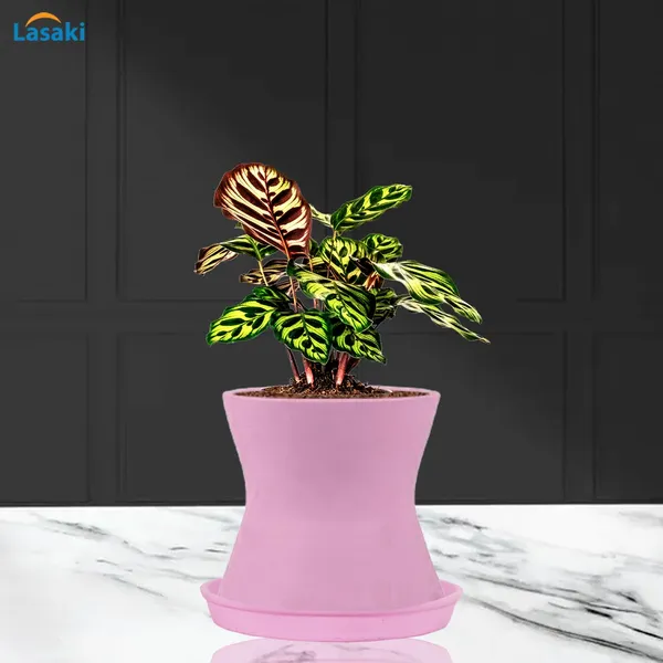 Damru_Purple_With_Plate_Purple_R4_Ceramic_Pots_For_Indoor_Plants,Planters,Flower,Gamla,Outdoor,Balcony,Home,Garden,Decor(Pot-H-11Cmxd-11Cm,Plate-H-2Xd-13Cm)
