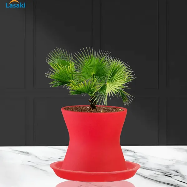 Damru_Red_With_Plate_Red_R4_Ceramic_Pots_For_Indoor_Plants,Planters,Flower,Gamla,Outdoor,Balcony,Home,Garden,Decor(Pot-H-11Cmxd-11Cm,Plate-H-2Xd-13Cm)