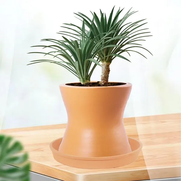 Damru_Ginger_With_Plate_Ginger_R4_Ceramic_Pots_For_Indoor_Plants,Planters,Flower,Gamla,Outdoor,Balcony,Home,Garden,Decor(Pot-H-11Cmxd-11Cm,Plate-H-2Xd-13Cm)