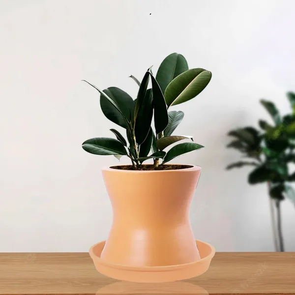Damru_Ginger_With_Plate_Ginger_R4_Ceramic_Pots_For_Indoor_Plants,Planters,Flower,Gamla,Outdoor,Balcony,Home,Garden,Decor(Pot-H-11Cmxd-11Cm,Plate-H-2Xd-13Cm)