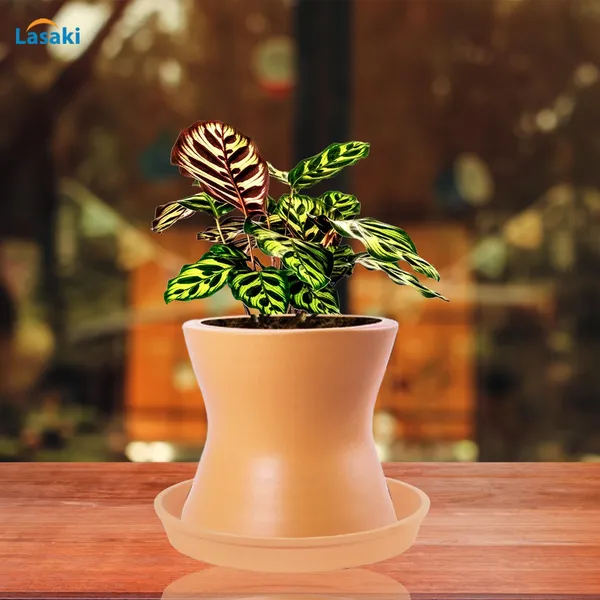 Damru_Ginger_With_Plate_Ginger_R4_Ceramic_Pots_For_Indoor_Plants,Planters,Flower,Gamla,Outdoor,Balcony,Home,Garden,Decor(Pot-H-11Cmxd-11Cm,Plate-H-2Xd-13Cm)