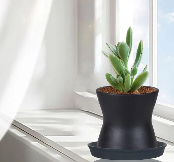 Damru_Black_With_Plate_Black_R4_Ceramic_Pots_For_Indoor_Plants,Planters,Flower,Gamla,Outdoor,Balcony,Home,Garden,Decor(Pot-H-11Cmxd-11Cm,Plate-H-2Xd-13Cm)