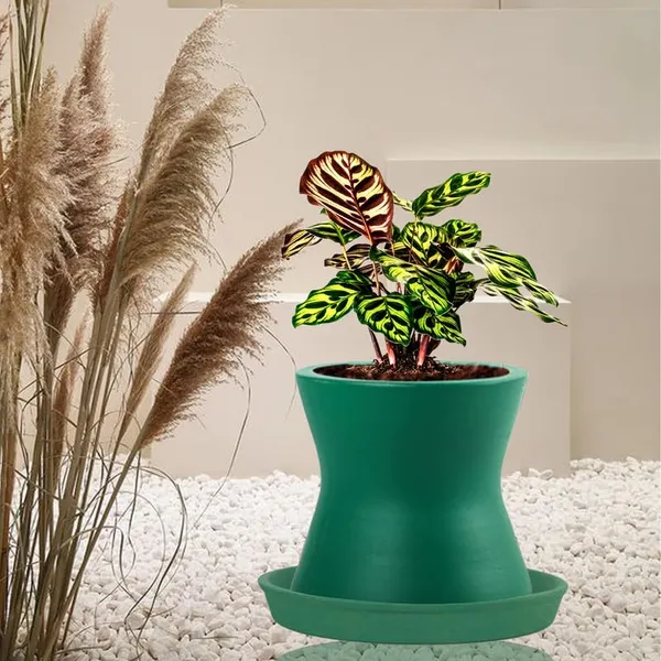 Damru_Deep_Jungle_With_Plate_Deep_Jungle_R4_Ceramic_Pots_For_Indoor_Plants,Planters,Flower,Gamla,Balcony,Home,Garden,Decor(Pot-H-11Cmxd-11Cm,Plate-H-2Xd-13Cm)