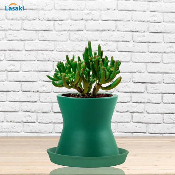 Damru_Deep_Jungle_With_Plate_Deep_Jungle_R4_Ceramic_Pots_For_Indoor_Plants,Planters,Flower,Gamla,Balcony,Home,Garden,Decor(Pot-H-11Cmxd-11Cm,Plate-H-2Xd-13Cm)