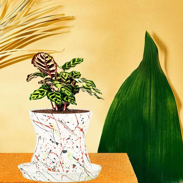 Damru_Multi_With_Plate_Multi_R4_Ceramic_Pots_For_Indoor_Plants,Planters,Flower,Gamla,Outdoor,Balcony,Home,Garden,Decor(Pot-H-11Cmxd-11Cm,Plate-H-2Xd-13Cm)