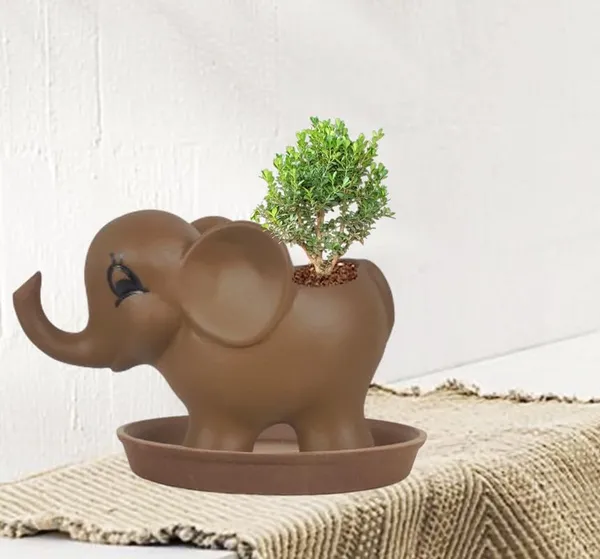 Jumbo_Truffle_With_Plate_Truffle_R4_Ceramic_Pots_For_Indoor_Plants,Planters,Flower,Gamla,Outdoor,Balcony,Home,Garden,Decor(Pot-L-18_X_W-10_X_H-12_Cm,Plate-H-2Xd-13Cm)