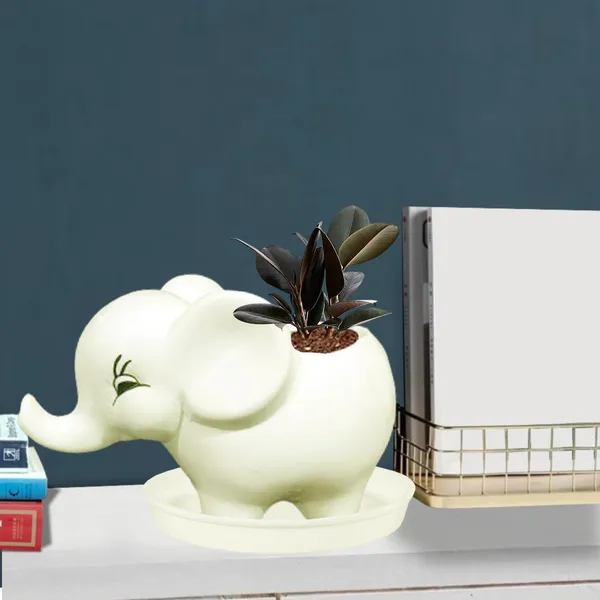 Jumbo_White_With_Plate_White_R4_Ceramic_Pots_For_Indoor_Plants,Planters,Flower,Gamla,Outdoor,Balcony,Home,Garden,Decor(Pot-L-18_X_W-10_X_H-12_Cm,Plate-H-2Xd-13Cm)