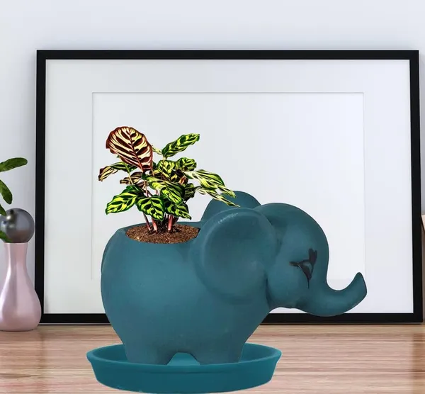 Jumbo_Blue_With_Plate_Blue_R4_Ceramic_Pots_For_Indoor_Plants,Planters,Flower,Gamla,Outdoor,Balcony,Home,Garden,Decor(Pot-L-18_X_W-10_X_H-12_Cm,Plate-H-2Xd-13Cm)