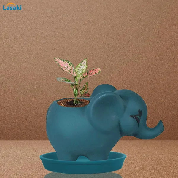 Jumbo_Blue_With_Plate_Blue_R4_Ceramic_Pots_For_Indoor_Plants,Planters,Flower,Gamla,Outdoor,Balcony,Home,Garden,Decor(Pot-L-18_X_W-10_X_H-12_Cm,Plate-H-2Xd-13Cm)