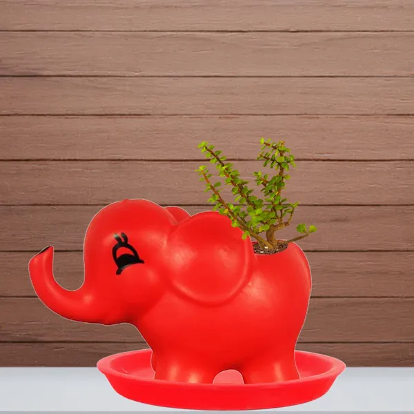 Jumbo_Red_With_Plate_Red_R4_Ceramic_Pots_For_Indoor_Plants,Planters,Flower,Gamla,Outdoor,Balcony,Home,Garden,Decor(Pot-L-18_X_W-10_X_H-12_Cm,Plate-H-2Xd-13Cm)