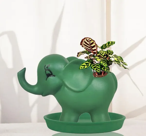 Jumbo_Deep_Jungle_With_Plate_Deep_Jungle_R4_Ceramic_Pots_For_Indoor_Plants,Planters,Flower,Gamla,Balcony,Home,Garden,Decor(Pot-L-18_X_W-10_X_H-12_Cm,Plate-H-2Xd-15Cm)
