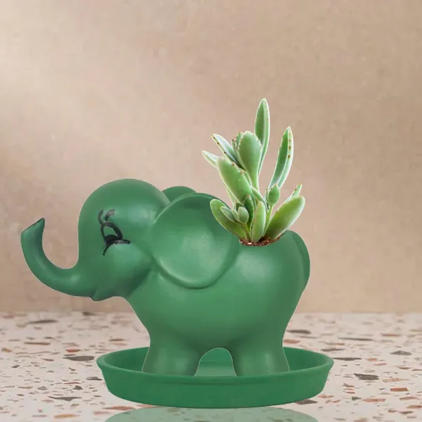 Jumbo_Deep_Jungle_With_Plate_Deep_Jungle_R4_Ceramic_Pots_For_Indoor_Plants,Planters,Flower,Gamla,Balcony,Home,Garden,Decor(Pot-L-18_X_W-10_X_H-12_Cm,Plate-H-2Xd-15Cm)