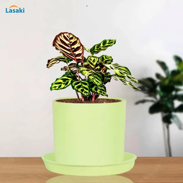 Sara_4_Inch_Mint_With_Plate_Mint_R5_Ceramic_Pots_For_Indoor_Plants,Planters,Flower,Gamla,Outdoor,Balcony,Home,Garden,Decor(Pot-H-10.5Cmxd-12Cm,Plate-H-2Xd-15Cm)