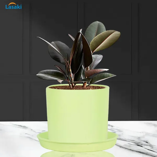 Sara_4_Inch_Mint_With_Plate_Mint_R5_Ceramic_Pots_For_Indoor_Plants,Planters,Flower,Gamla,Outdoor,Balcony,Home,Garden,Decor(Pot-H-10.5Cmxd-12Cm,Plate-H-2Xd-15Cm)