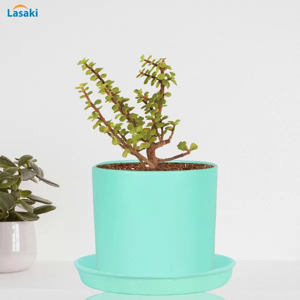 Sara_4_Inch_Aqua_With_Plate_Aqua_R5_Ceramic_Pots_For_Indoor_Plants,Planters,Flower,Gamla,Outdoor,Balcony,Home,Garden,Decor(Pot-H-10.5Cmxd-12Cm,Plate-H-2Xd-15Cm)