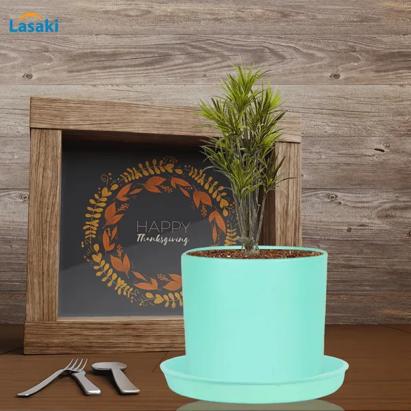 Sara_4_Inch_Aqua_With_Plate_Aqua_R5_Ceramic_Pots_For_Indoor_Plants,Planters,Flower,Gamla,Outdoor,Balcony,Home,Garden,Decor(Pot-H-10.5Cmxd-12Cm,Plate-H-2Xd-15Cm)