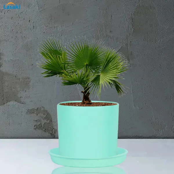 Sara_4_Inch_Aqua_With_Plate_Aqua_R5_Ceramic_Pots_For_Indoor_Plants,Planters,Flower,Gamla,Outdoor,Balcony,Home,Garden,Decor(Pot-H-10.5Cmxd-12Cm,Plate-H-2Xd-15Cm)