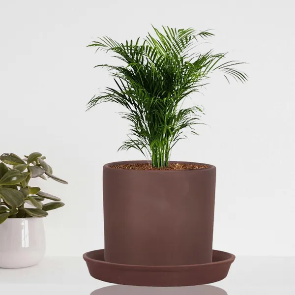 Sara_4_Inch_Truffle_With_Plate_Truffle_R5_Ceramic_Pots_For_Indoor_Plants,Planters,Flower,Gamla,Outdoor,Balcony,Home,Garden,Decor(Pot-H-10.5Cmxd-12Cm,Plate-H-2Xd-15Cm)