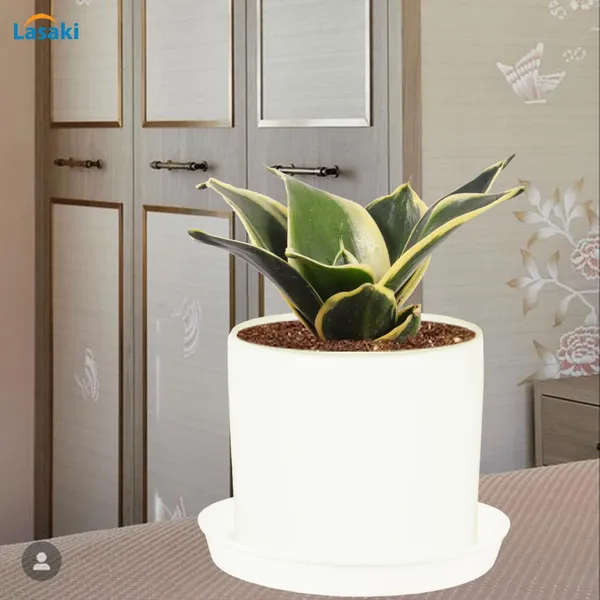 Sara_4_Inch_White_With_Plate_White_R5_Ceramic_Pots_For_Indoor_Plants,Planters,Flower,Gamla,Outdoor,Balcony,Home,Garden,Decor(Pot-H-10.5Cmxd-12Cm,Plate-H-2Xd-15Cm)