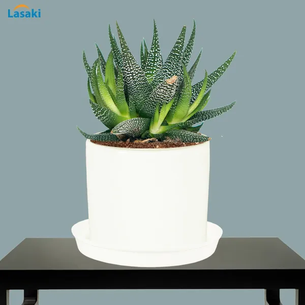 Sara_4_Inch_White_With_Plate_White_R5_Ceramic_Pots_For_Indoor_Plants,Planters,Flower,Gamla,Outdoor,Balcony,Home,Garden,Decor(Pot-H-10.5Cmxd-12Cm,Plate-H-2Xd-15Cm)