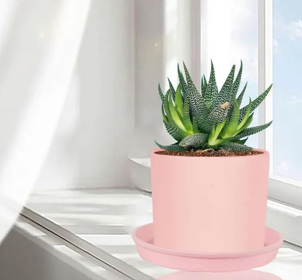 Sara_4_Inch_Pink_With_Plate_Pink_R5_Ceramic_Pots_For_Indoor_Plants,Planters,Flower,Gamla,Outdoor,Balcony,Home,Garden,Decor(Pot-H-10.5Cmxd-12Cm,Plate-H-2Xd-15Cm)