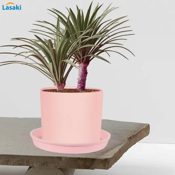 Sara_4_Inch_Pink_With_Plate_Pink_R5_Ceramic_Pots_For_Indoor_Plants,Planters,Flower,Gamla,Outdoor,Balcony,Home,Garden,Decor(Pot-H-10.5Cmxd-12Cm,Plate-H-2Xd-15Cm)