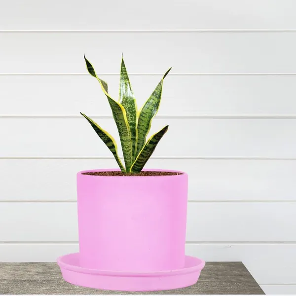 Sara_4_Inch_Purple_With_Plate_Purple_R5_Ceramic_Pots_For_Indoor_Plants,Planters,Flower,Gamla,Outdoor,Balcony,Home,Garden,Decor(Pot-H-10.5Cmxd-12Cm,Plate-H-2Xd-15Cm)