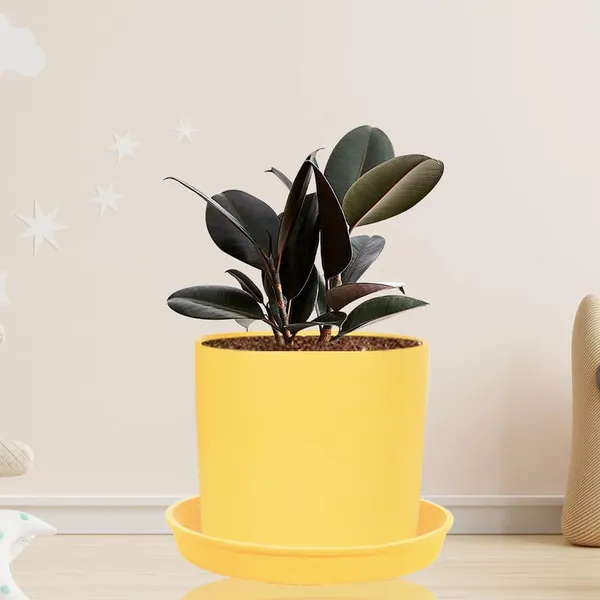 Sara_4_Inch_Saffron_With_Plate_Saffron_R5_Ceramic_Pots_For_Indoor_Plants,Planters,Flower,Gamla,Outdoor,Balcony,Home,Garden,Decor(Pot-H-10.5Cmxd-12Cm,Plate-H-2Xd-15Cm)