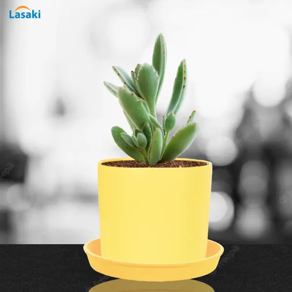 Sara_4_Inch_Saffron_With_Plate_Saffron_R5_Ceramic_Pots_For_Indoor_Plants,Planters,Flower,Gamla,Outdoor,Balcony,Home,Garden,Decor(Pot-H-10.5Cmxd-12Cm,Plate-H-2Xd-15Cm)