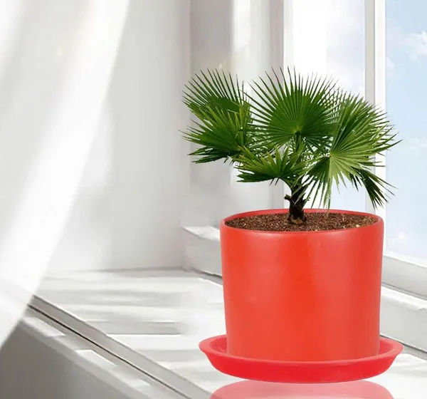 Sara_4_Inch_Red_With_Plate_Red_R5_Ceramic_Pots_For_Indoor_Plants,Planters,Flower,Gamla,Outdoor,Balcony,Home,Garden,Decor(Pot-H-10.5Cmxd-12Cm,Plate-H-2Xd-15Cm)