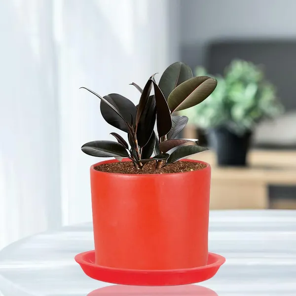 Sara_4_Inch_Red_With_Plate_Red_R5_Ceramic_Pots_For_Indoor_Plants,Planters,Flower,Gamla,Outdoor,Balcony,Home,Garden,Decor(Pot-H-10.5Cmxd-12Cm,Plate-H-2Xd-15Cm)
