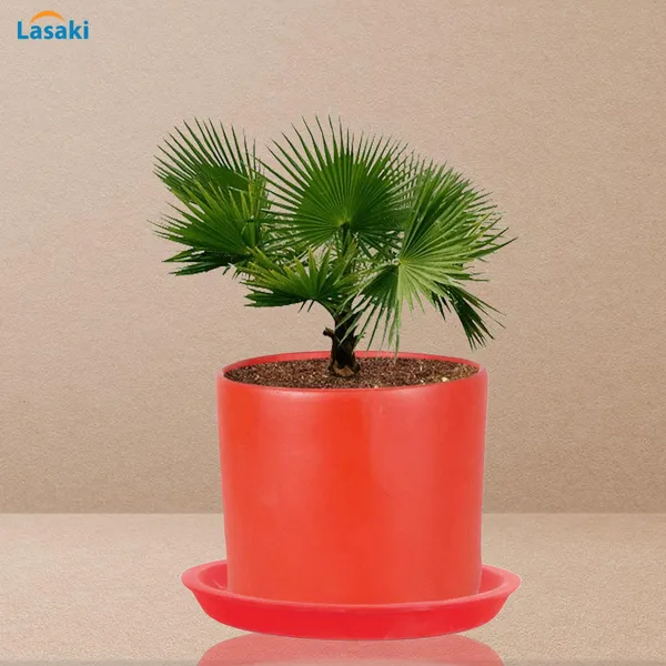 Sara_4_Inch_Red_With_Plate_Red_R5_Ceramic_Pots_For_Indoor_Plants,Planters,Flower,Gamla,Outdoor,Balcony,Home,Garden,Decor(Pot-H-10.5Cmxd-12Cm,Plate-H-2Xd-15Cm)