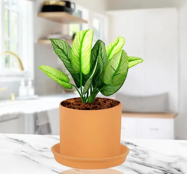 Sara_4_Inch_Ginger_With_Plate_Ginger_R5_Ceramic_Pots_For_Indoor_Plants,Planters,Flower,Gamla,Outdoor,Balcony,Home,Garden,Decor(Pot-H-10.5Cmxd-12Cm,Plate-H-2Xd-15Cm)