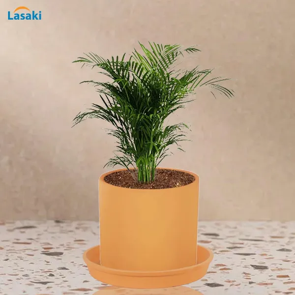 Sara_4_Inch_Ginger_With_Plate_Ginger_R5_Ceramic_Pots_For_Indoor_Plants,Planters,Flower,Gamla,Outdoor,Balcony,Home,Garden,Decor(Pot-H-10.5Cmxd-12Cm,Plate-H-2Xd-15Cm)