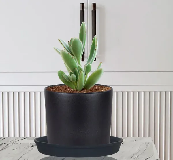 Sara_4_Inch_Black_With_Plate_Black_R5_Ceramic_Pots_For_Indoor_Plants,Planters,Flower,Gamla,Outdoor,Balcony,Home,Garden,Decor(Pot-H-10.5Cmxd-12Cm,Plate-H-2Xd-15Cm)