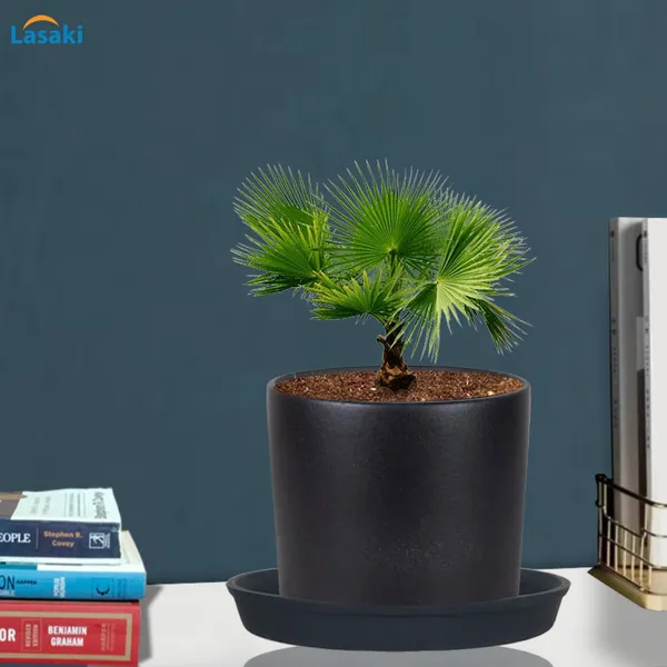 Sara_4_Inch_Black_With_Plate_Black_R5_Ceramic_Pots_For_Indoor_Plants,Planters,Flower,Gamla,Outdoor,Balcony,Home,Garden,Decor(Pot-H-10.5Cmxd-12Cm,Plate-H-2Xd-15Cm)