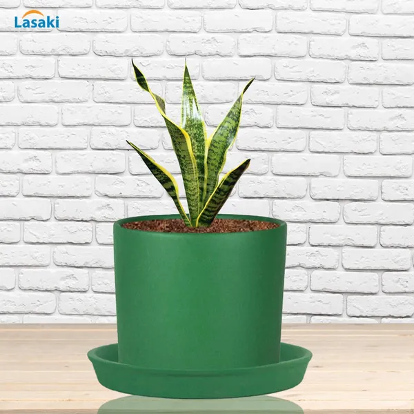 Sara_4_Inch_Deep_Jungle_With_Plate_Deep_Jungle_R5_Ceramic_Pots_For_Indoor_Plants,Planters,Flower,Gamla,Balcony,Home,Garden,Decor(Pot-H-10.5Cmxd-12Cm,Plate-H-2Xd-15Cm)