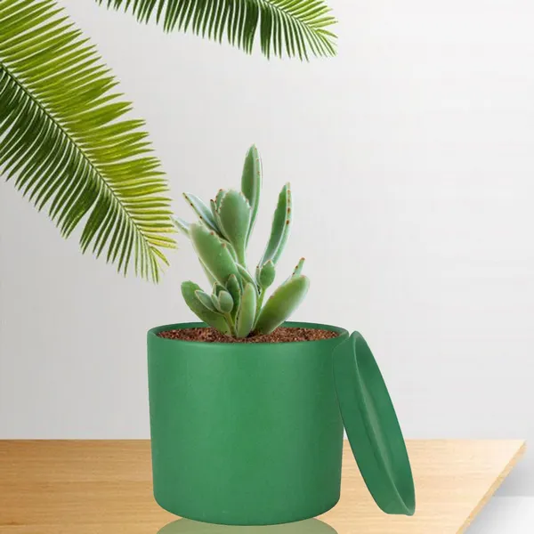 Sara_4_Inch_Deep_Jungle_With_Plate_Deep_Jungle_R5_Ceramic_Pots_For_Indoor_Plants,Planters,Flower,Gamla,Balcony,Home,Garden,Decor(Pot-H-10.5Cmxd-12Cm,Plate-H-2Xd-15Cm)