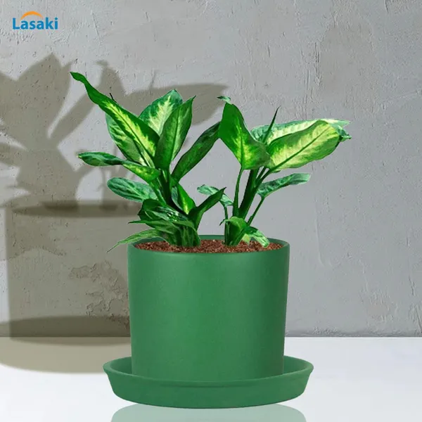 Sara_4_Inch_Deep_Jungle_With_Plate_Deep_Jungle_R5_Ceramic_Pots_For_Indoor_Plants,Planters,Flower,Gamla,Balcony,Home,Garden,Decor(Pot-H-10.5Cmxd-12Cm,Plate-H-2Xd-15Cm)