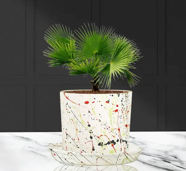 Sara_4_Inch_Multi_With_Plate_Multi_R5_Ceramic_Pots_For_Indoor_Plants,Planters,Flower,Gamla,Outdoor,Balcony,Home,Garden,Decor(Pot-H-10.5Cmxd-12Cm,Plate-H-2Xd-15Cm)