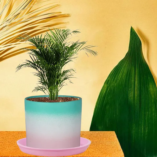 Sara_4_Inch_3T_Pwa_With_Plate_Pink_R5_Ceramic_Pots_For_Indoor_Plants,Planters,Flower,Gamla,Outdoor,Balcony,Home,Garden,Decor(Pot-H-10.5Cmxd-12Cm,Plate-H-2Xd-15Cm)