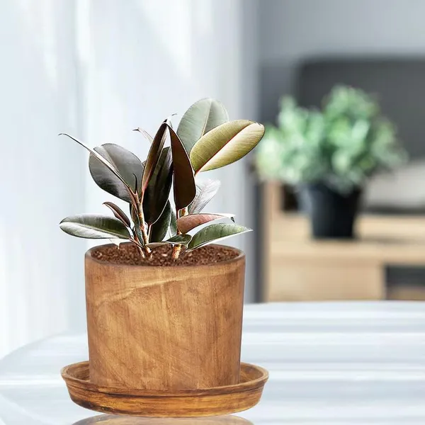 Sara_5_Inch_Antique_With_Plate_Antique_R6_Ceramic_Pots_For_Indoor_Plants,Planters,Flower,Gamla,Outdoor,Balcony,Home,Garden,Decor(Pot-H-13Cmxd-14Cm,Plate-H-2.5Xd-16Cm)
