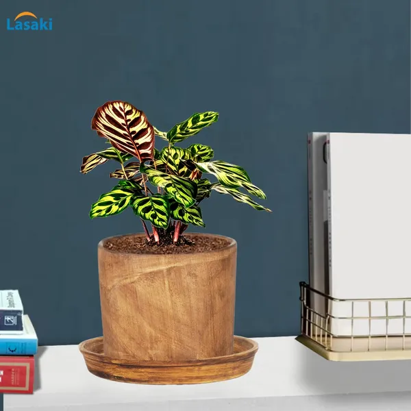Sara_5_Inch_Antique_With_Plate_Antique_R6_Ceramic_Pots_For_Indoor_Plants,Planters,Flower,Gamla,Outdoor,Balcony,Home,Garden,Decor(Pot-H-13Cmxd-14Cm,Plate-H-2.5Xd-16Cm)