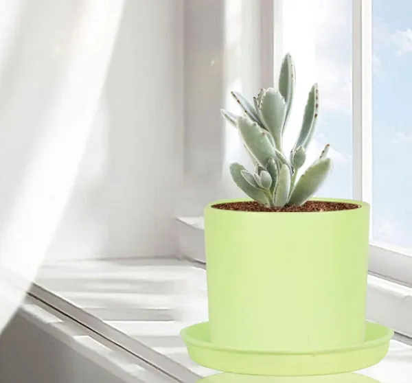 Sara_5_Inch_Mint_With_Plate_Mint_R6_Ceramic_Pots_For_Indoor_Plants,Planters,Flower,Gamla,Outdoor,Balcony,Home,Garden,Decor(Pot-H-13Cmxd-14Cm,Plate-H-2.5Xd-16Cm)