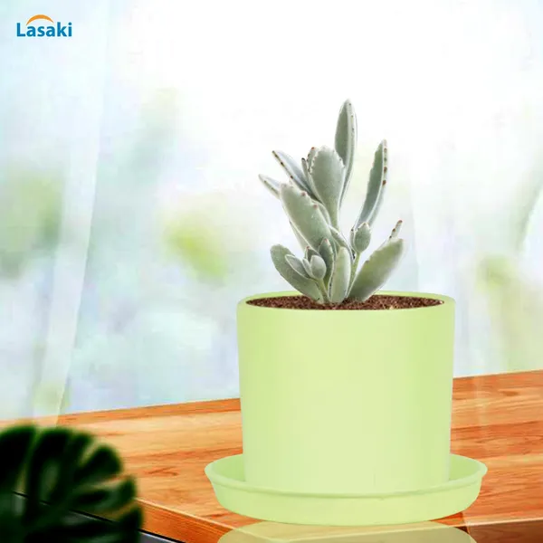 Sara_5_Inch_Mint_With_Plate_Mint_R6_Ceramic_Pots_For_Indoor_Plants,Planters,Flower,Gamla,Outdoor,Balcony,Home,Garden,Decor(Pot-H-13Cmxd-14Cm,Plate-H-2.5Xd-16Cm)