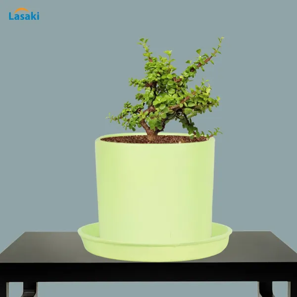 Sara_5_Inch_Mint_With_Plate_Mint_R6_Ceramic_Pots_For_Indoor_Plants,Planters,Flower,Gamla,Outdoor,Balcony,Home,Garden,Decor(Pot-H-13Cmxd-14Cm,Plate-H-2.5Xd-16Cm)