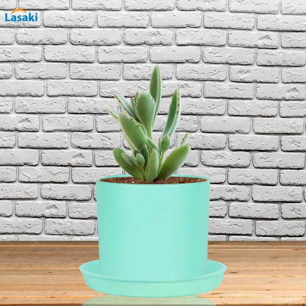 Sara_5_Inch_Aqua_With_Plate_Aqua_R6_Ceramic_Pots_For_Indoor_Plants,Planters,Flower,Gamla,Outdoor,Balcony,Home,Garden,Decor(Pot-H-13Cmxd-14Cm,Plate-H-2.5Xd-16Cm)